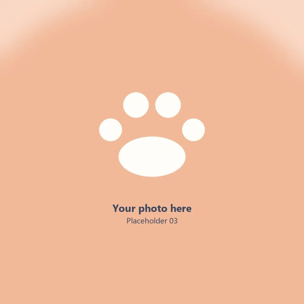 Placeholder photo 3 — replace with a photo of a groomed pup