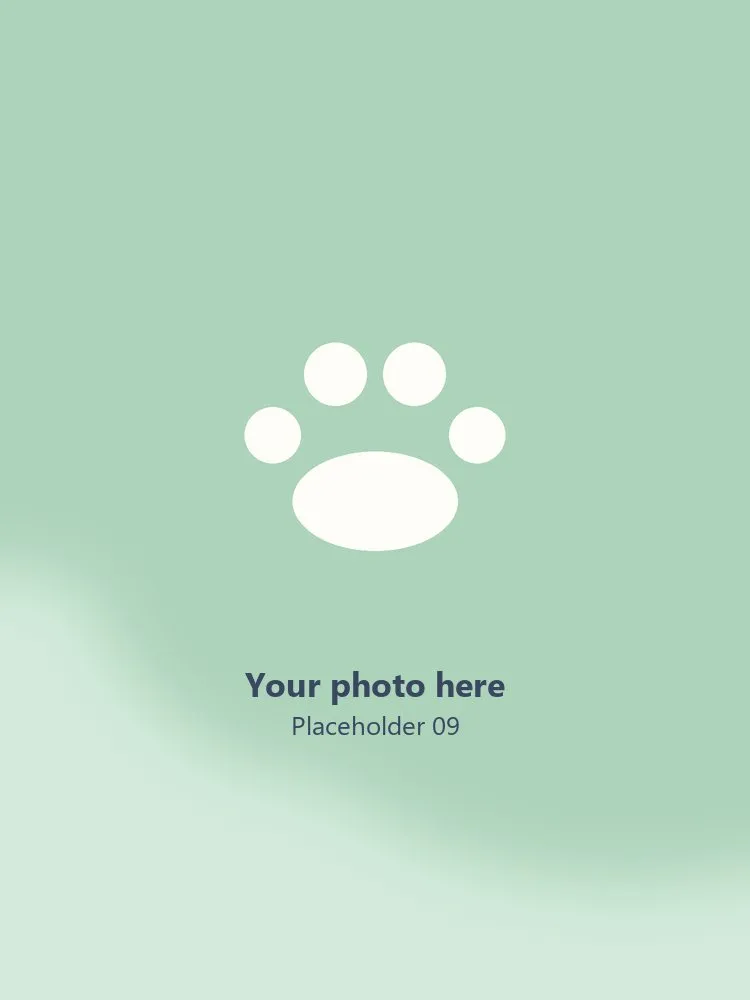 Placeholder photo 9 — replace with a photo of a groomed pup