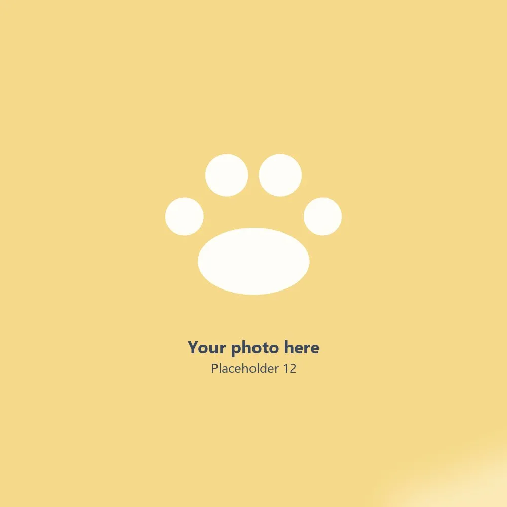 Placeholder photo 12 — replace with a photo of a groomed pup